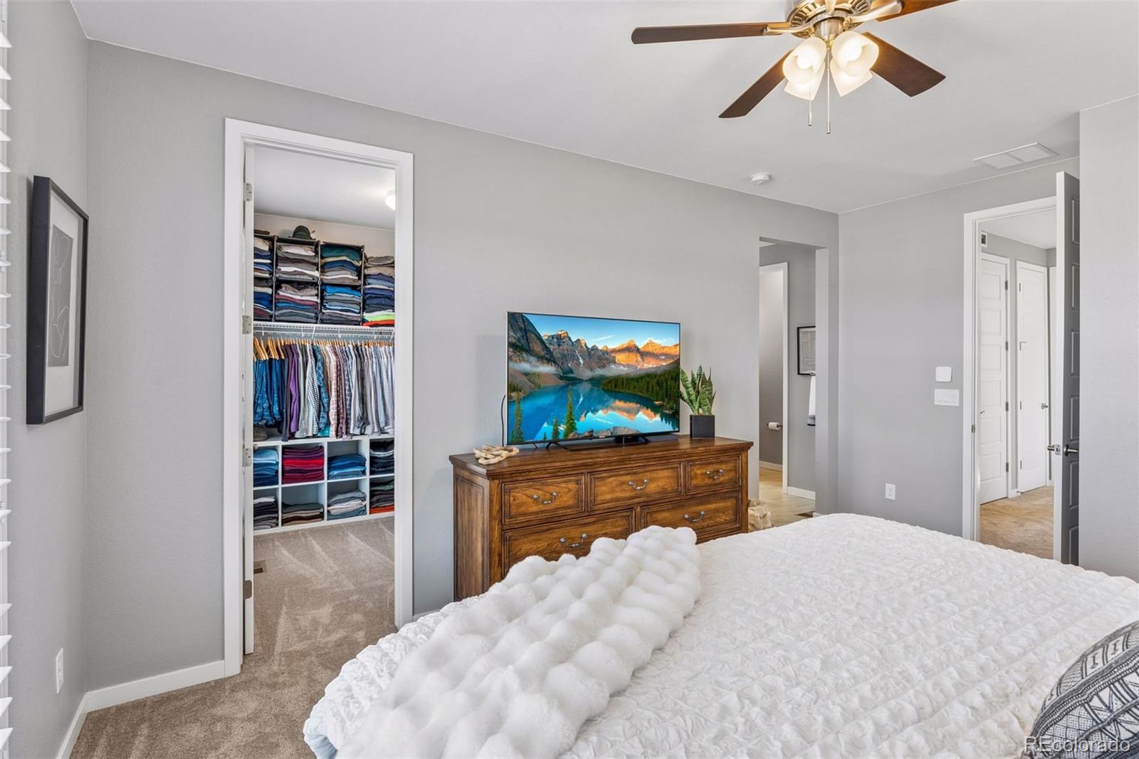 MLS Image #22 for 3640  penang drive,castle rock, Colorado