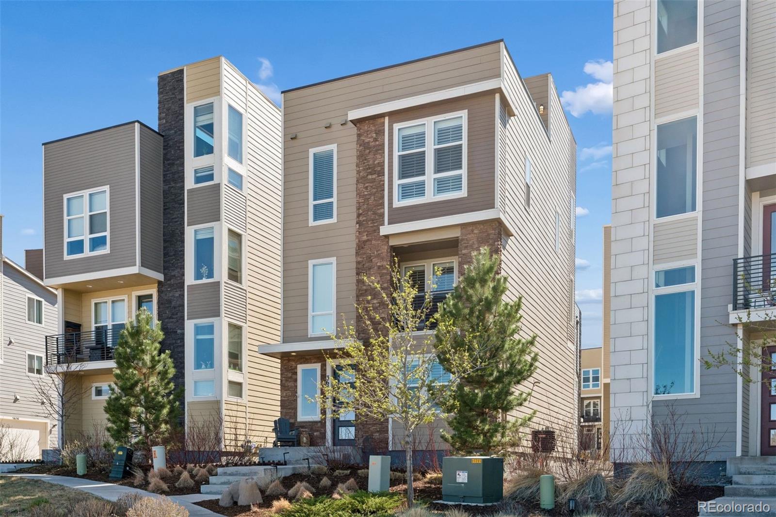 MLS Image #3 for 3640  penang drive,castle rock, Colorado