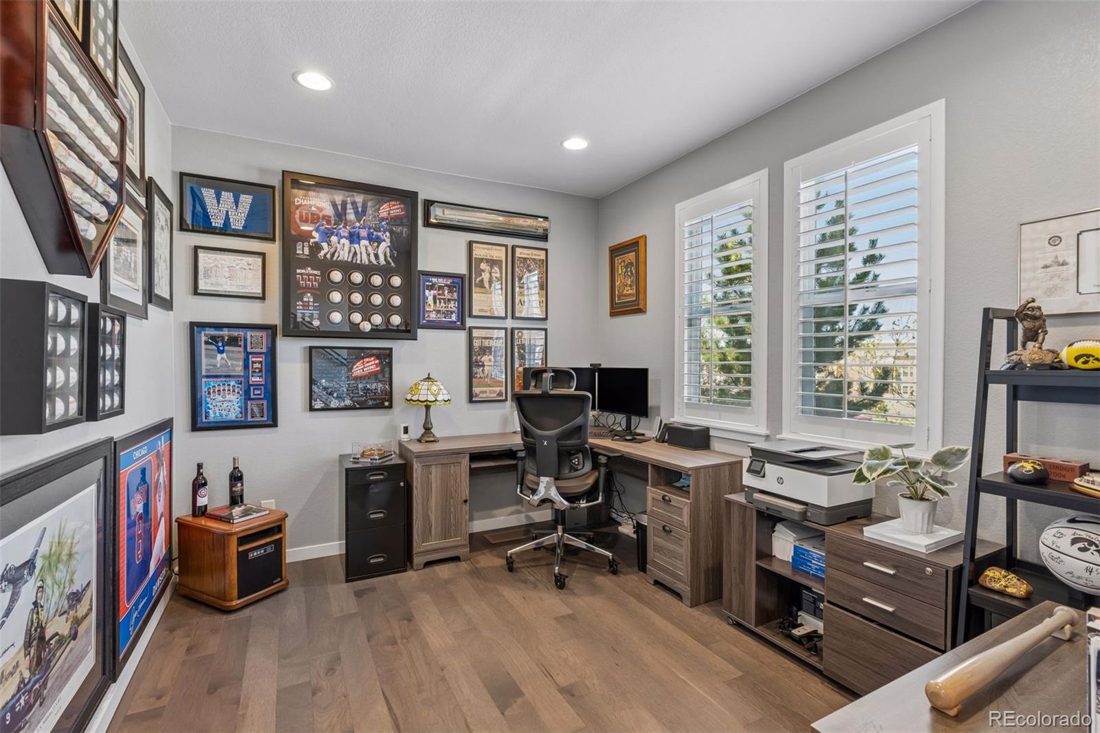 MLS Image #6 for 3640  penang drive,castle rock, Colorado