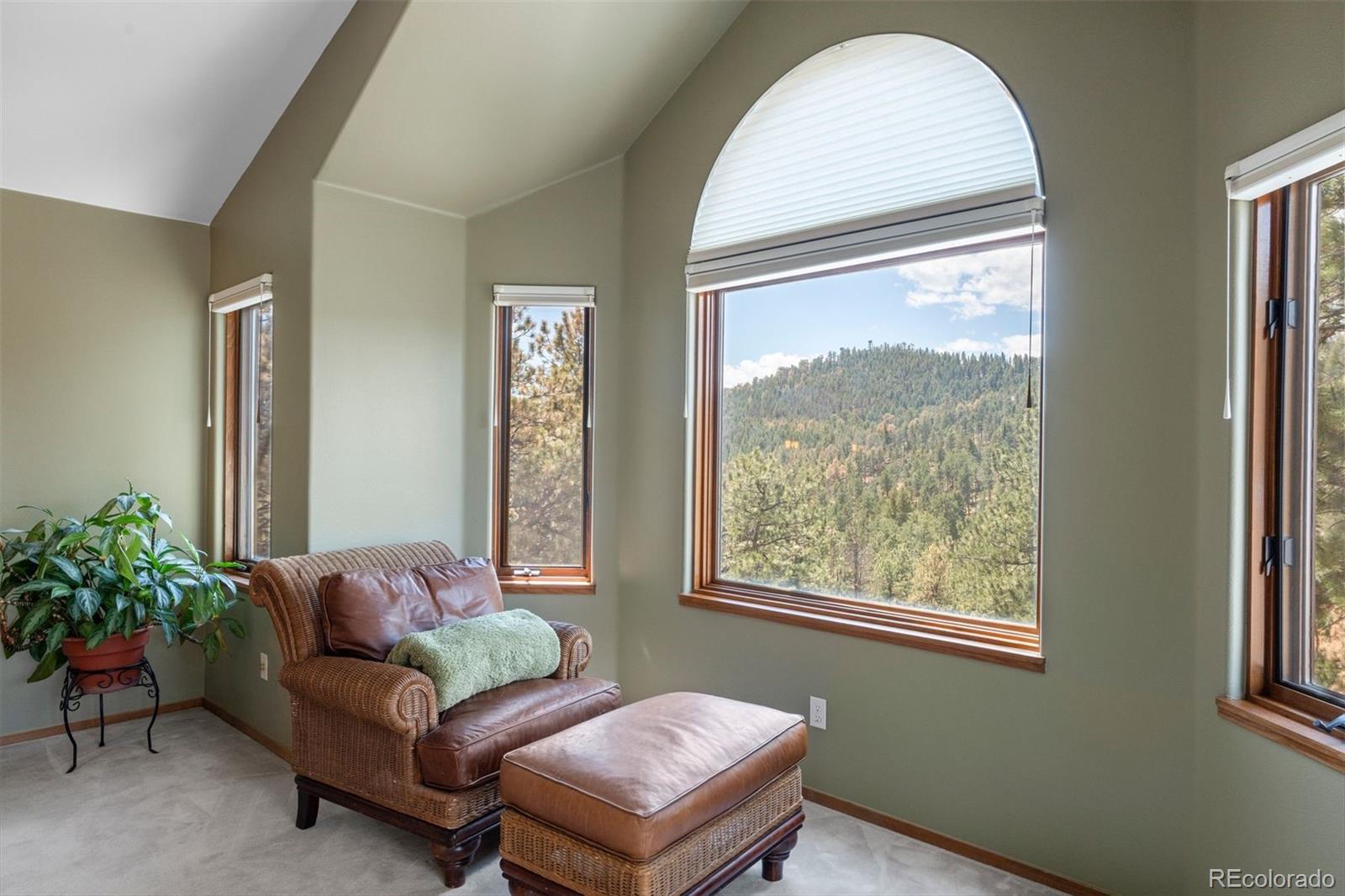 MLS Image #19 for 442  ruby forest trail,evergreen, Colorado