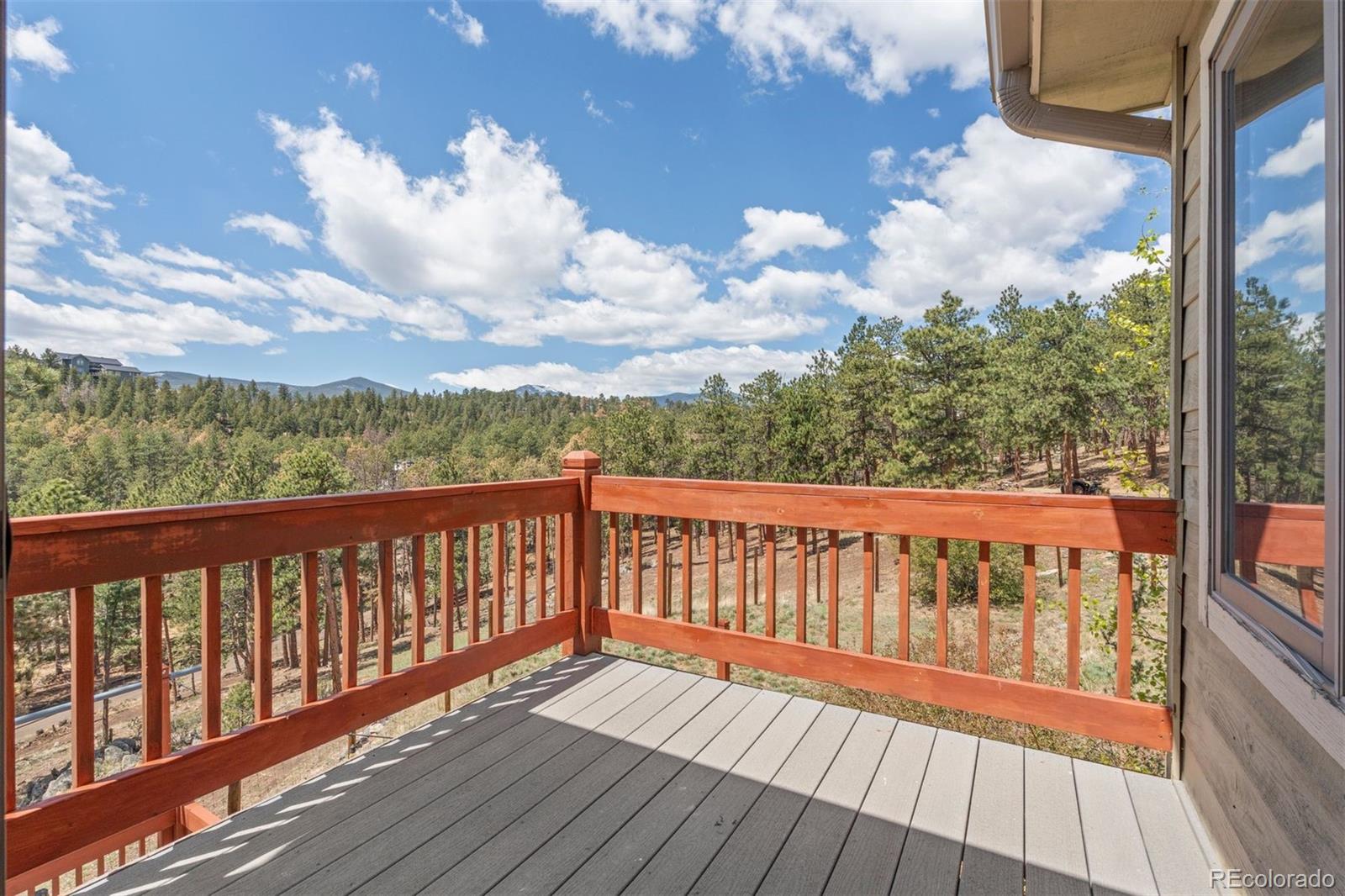 MLS Image #22 for 442  ruby forest trail,evergreen, Colorado