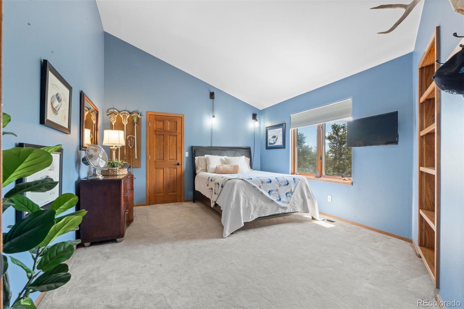 MLS Image #23 for 442  ruby forest trail,evergreen, Colorado