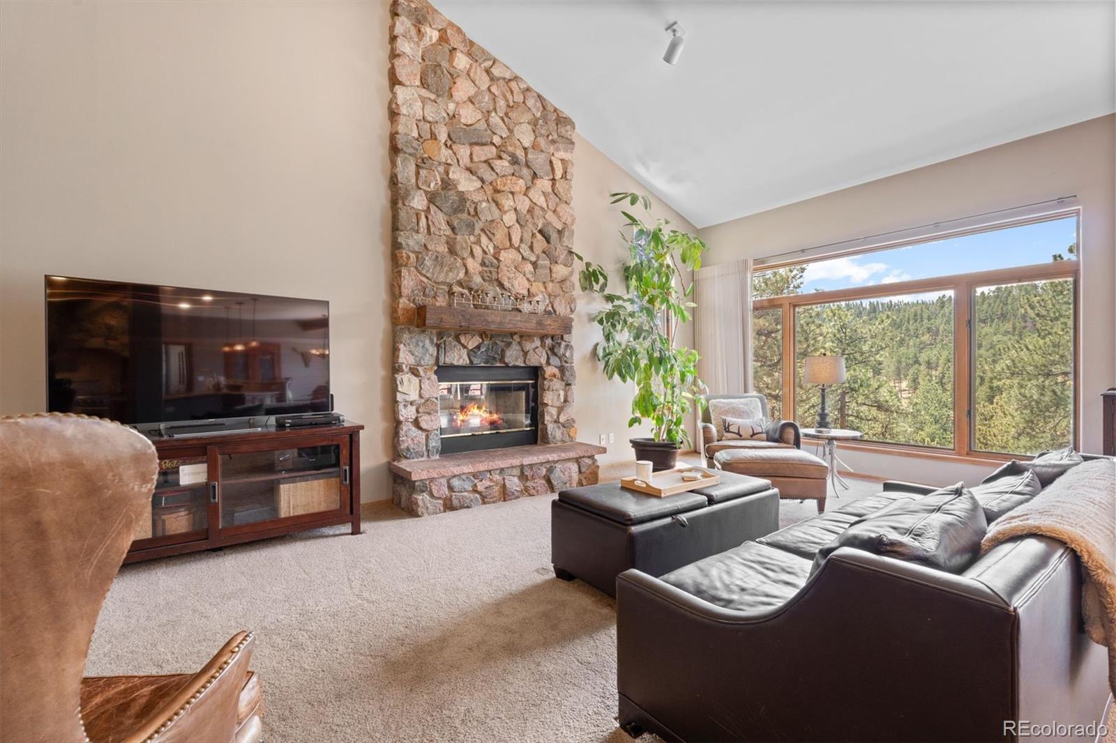 MLS Image #4 for 442  ruby forest trail,evergreen, Colorado