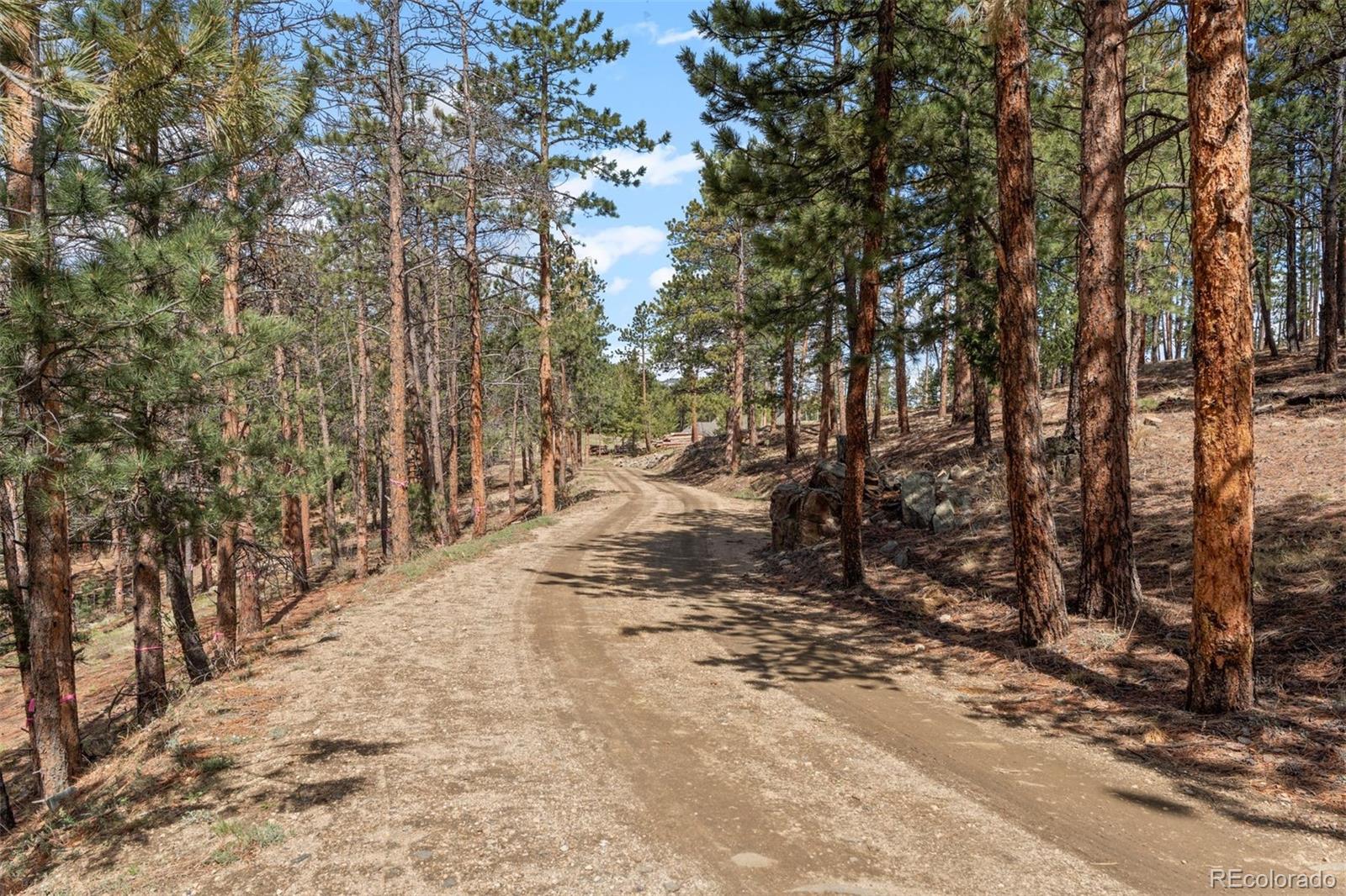 MLS Image #40 for 442  ruby forest trail,evergreen, Colorado
