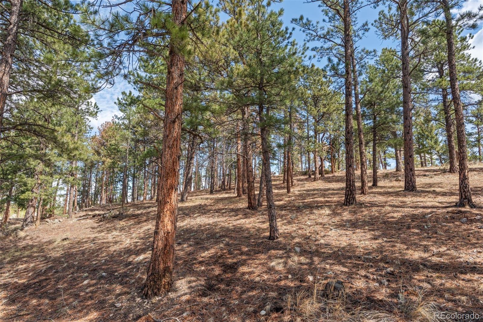 MLS Image #41 for 442  ruby forest trail,evergreen, Colorado