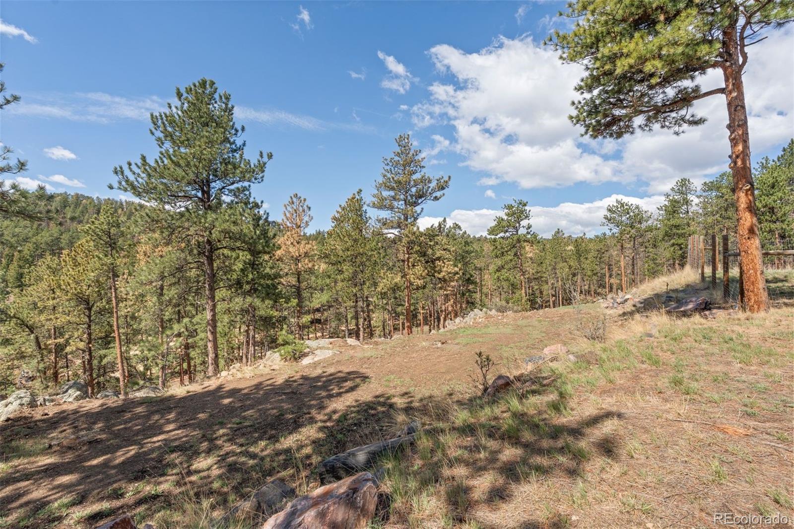 MLS Image #42 for 442  ruby forest trail,evergreen, Colorado