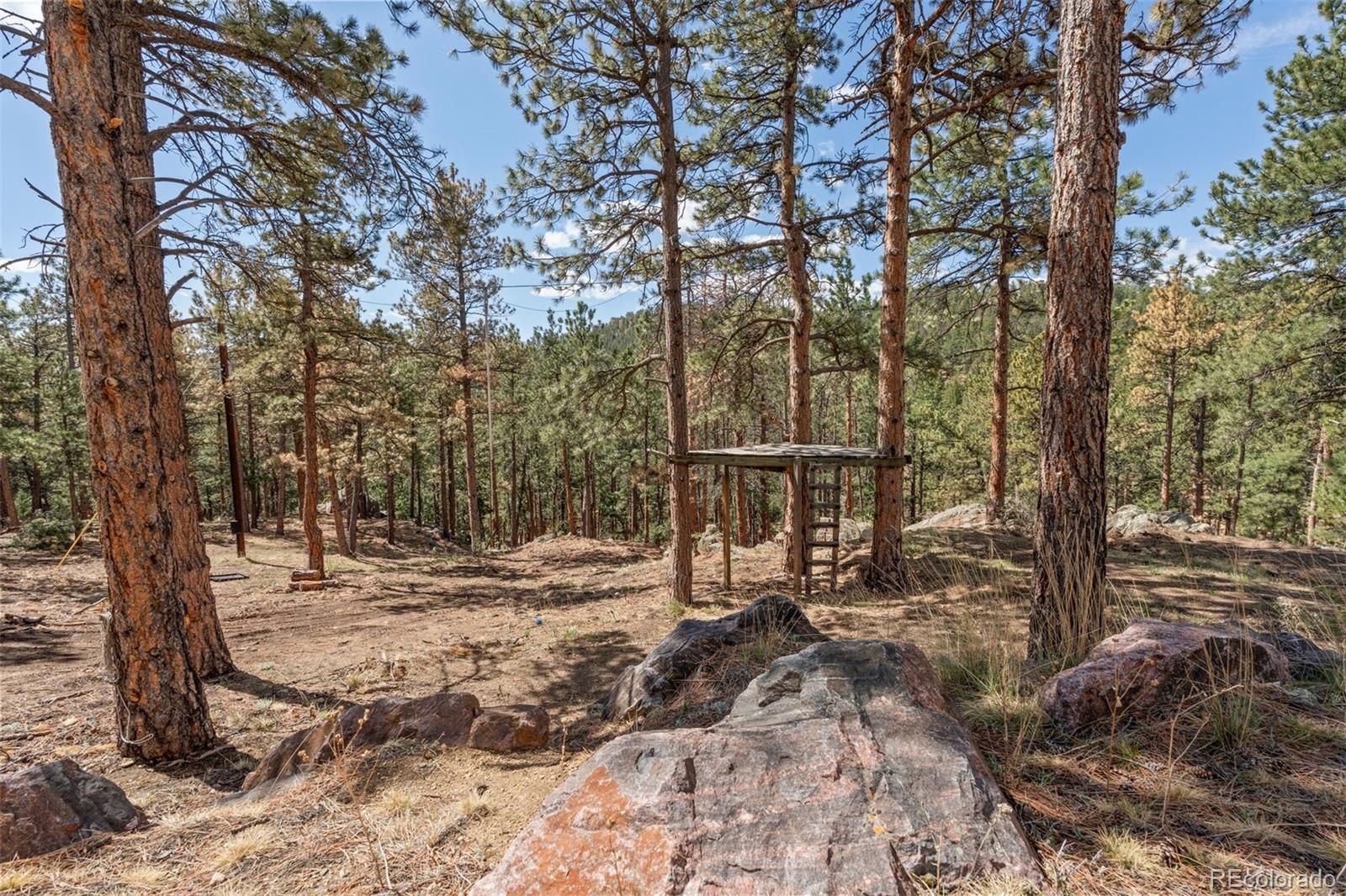 MLS Image #43 for 442  ruby forest trail,evergreen, Colorado