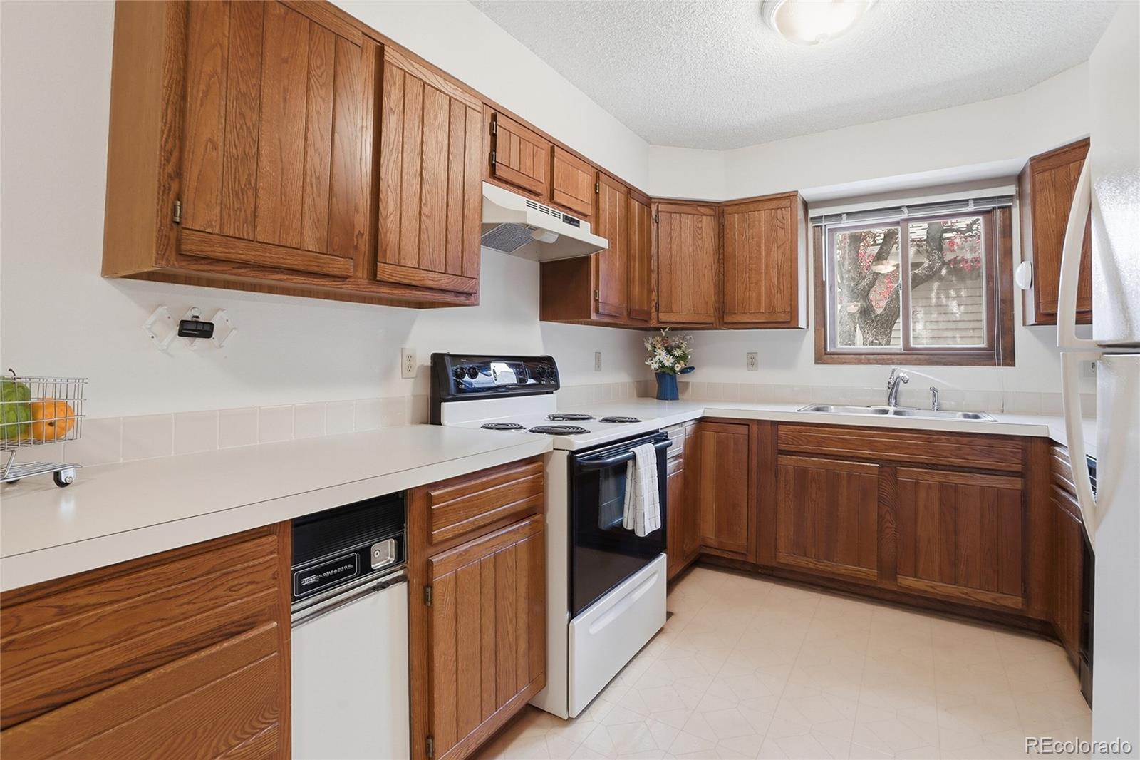 MLS Image #10 for 6984  buckskin drive ,littleton, Colorado