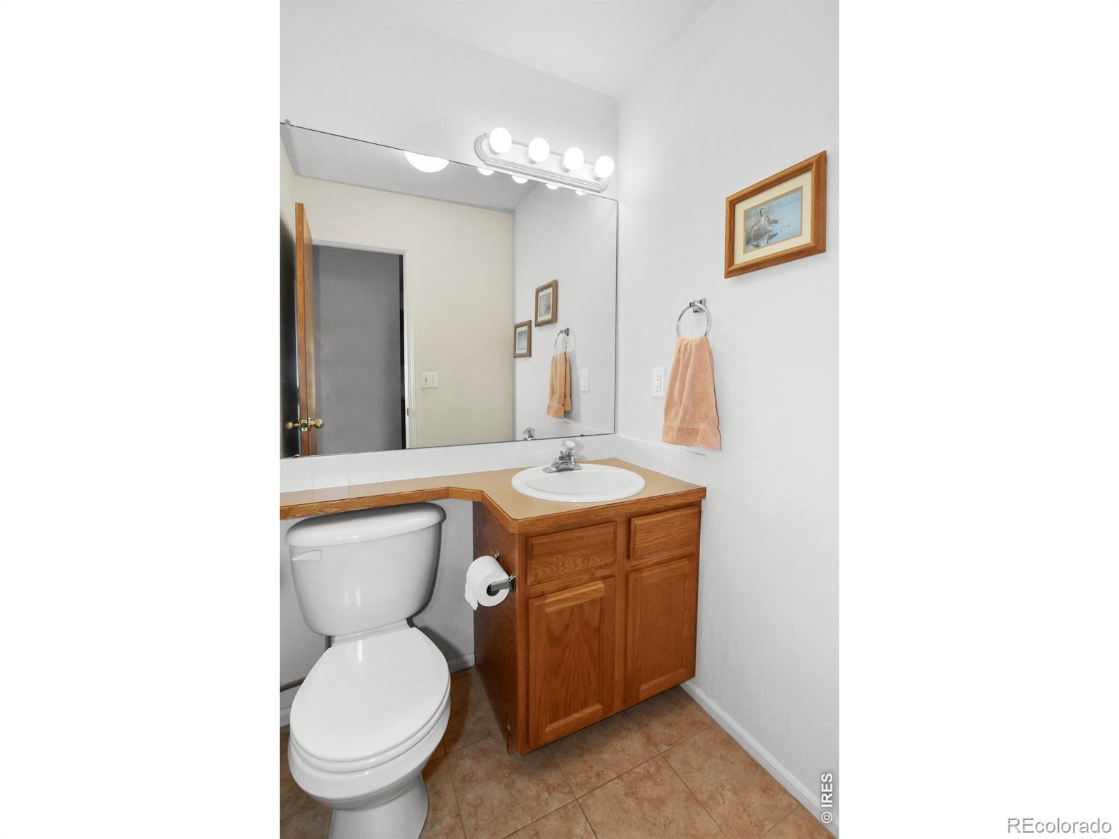 MLS Image #16 for 824  chetwood court,fort collins, Colorado