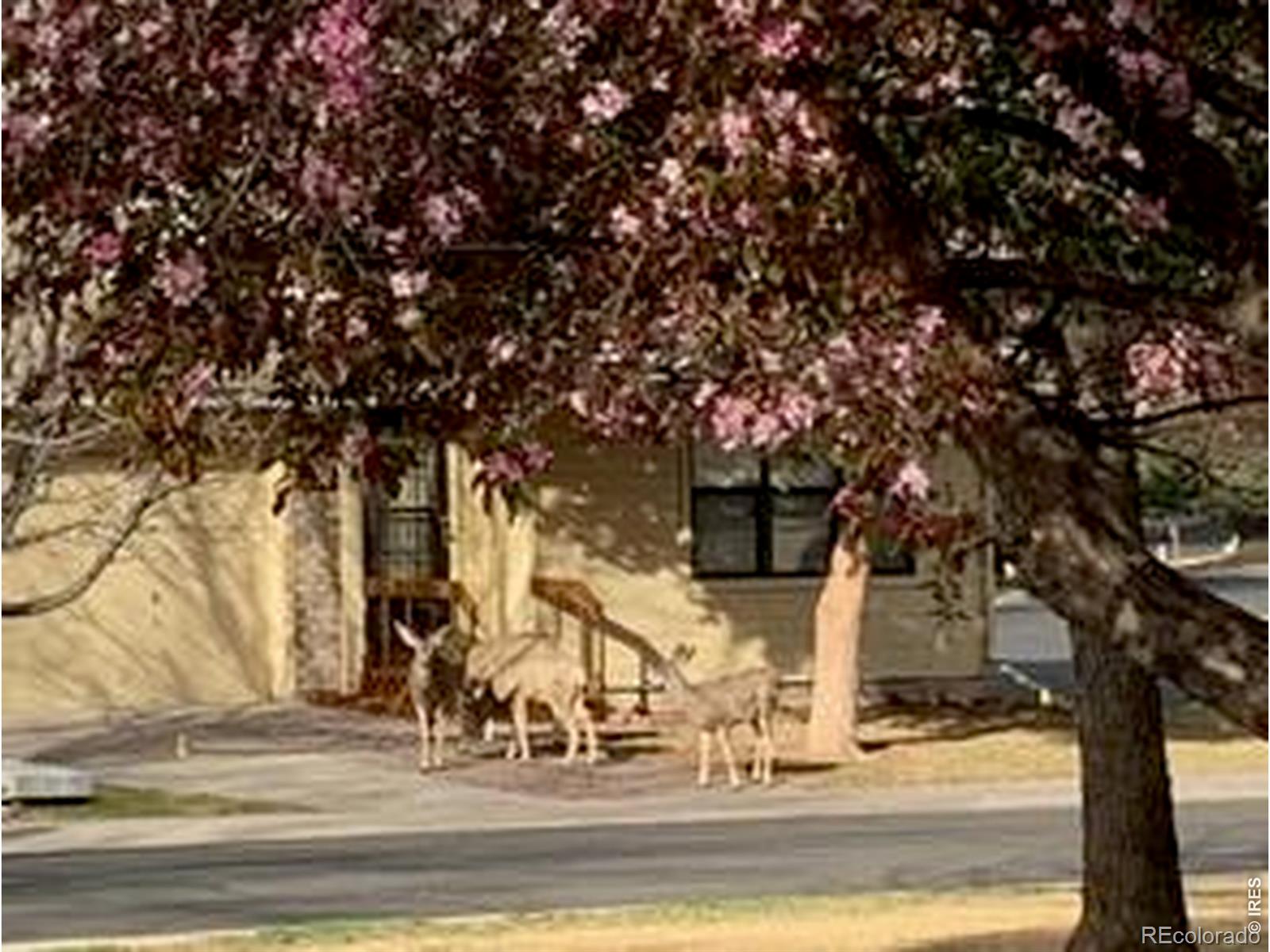 MLS Image #34 for 824  chetwood court,fort collins, Colorado