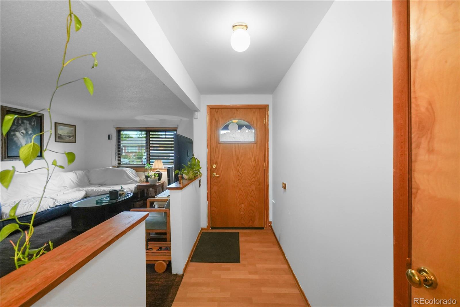 MLS Image #4 for 1337  sharpe place,longmont, Colorado
