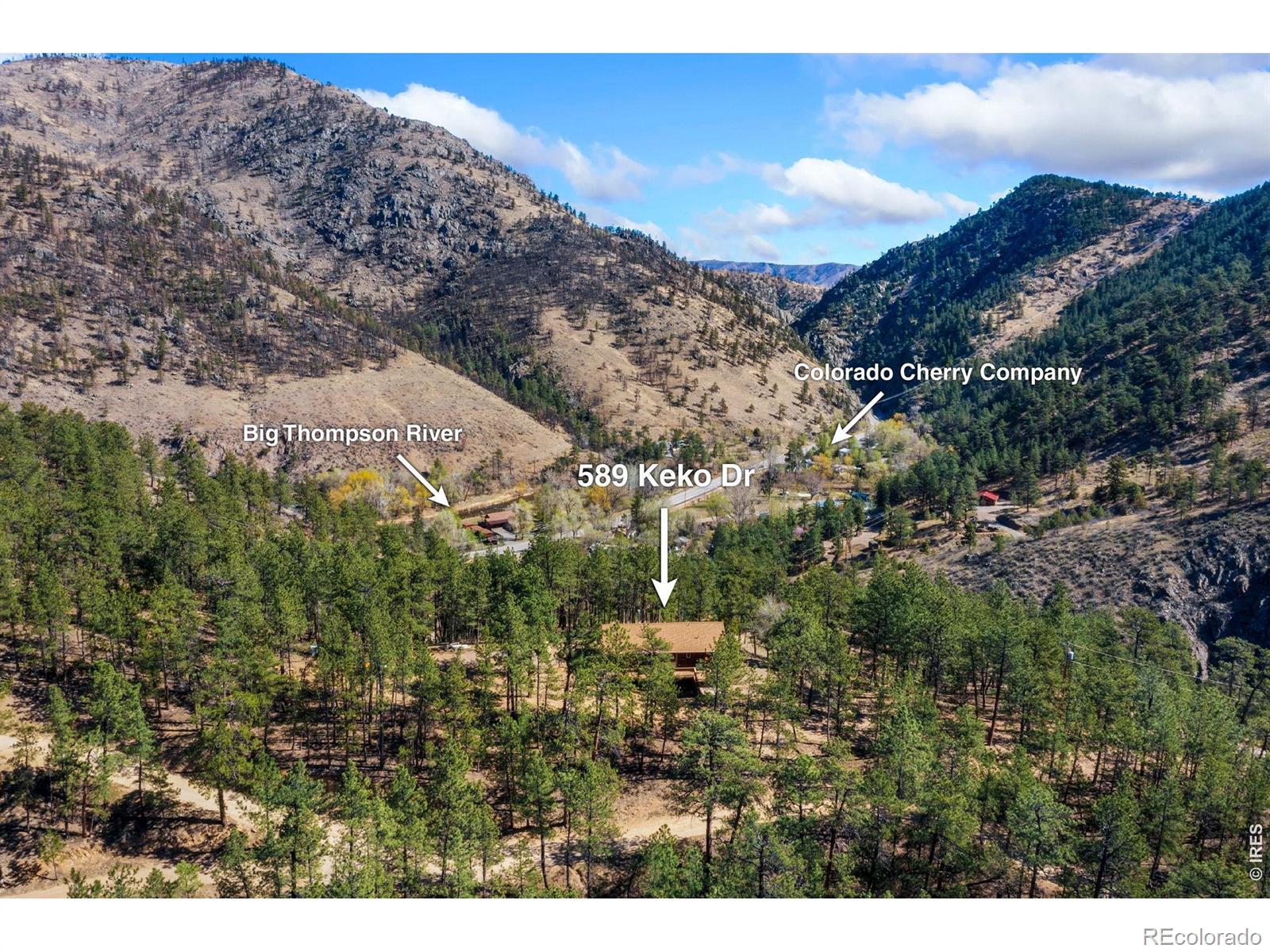 MLS Image #3 for 589  keko drive,loveland, Colorado