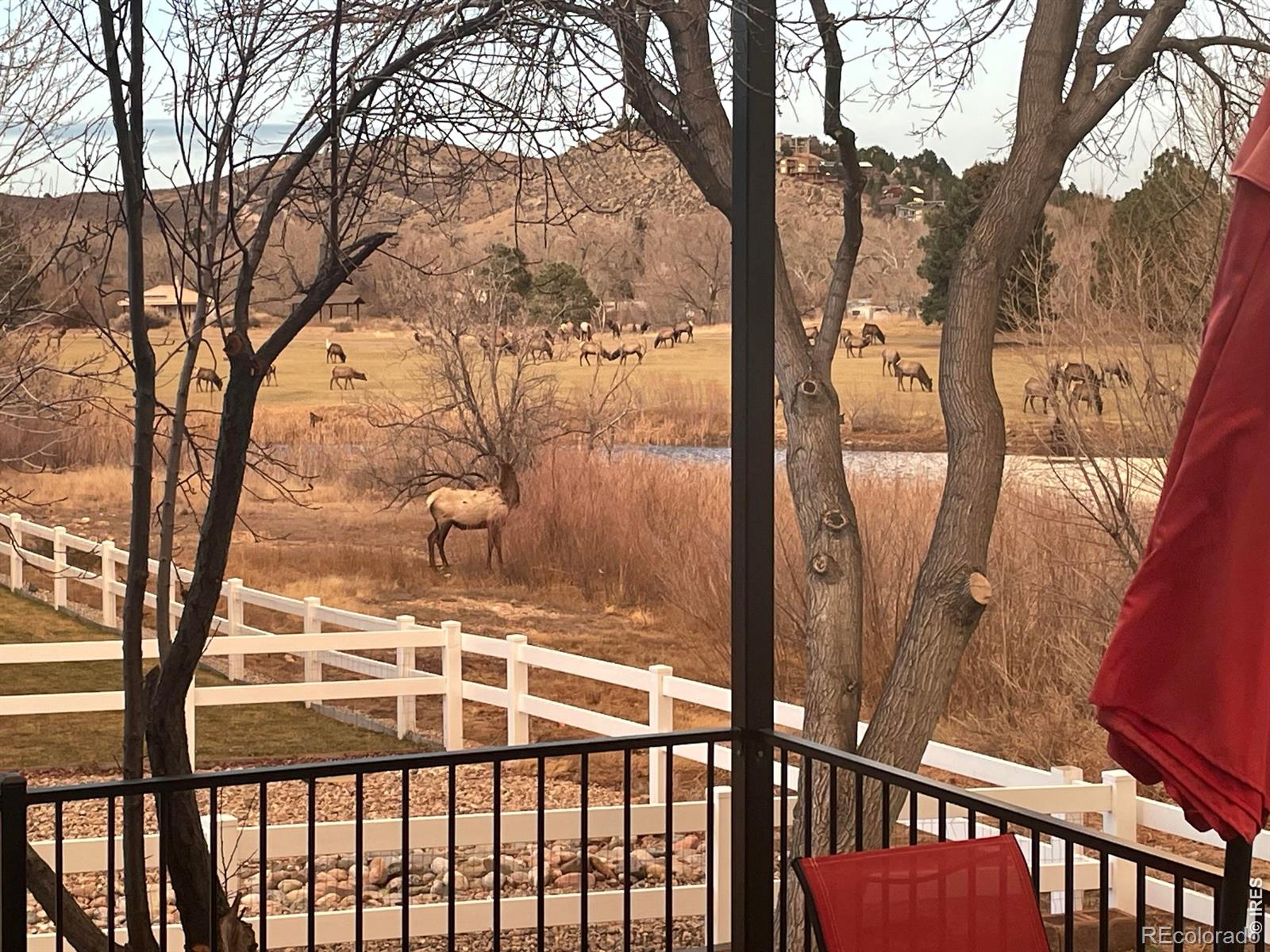 MLS Image #2 for 4339  golf vista drive,loveland, Colorado