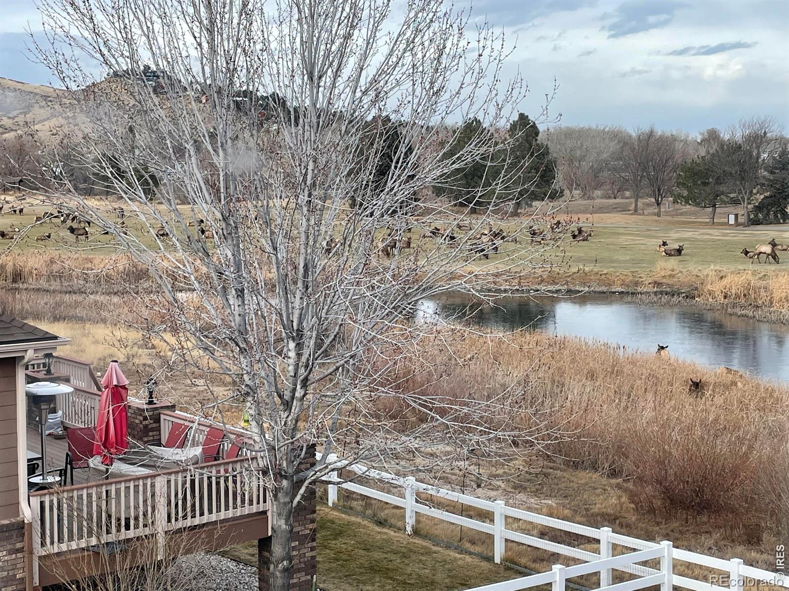 MLS Image #41 for 4339  golf vista drive,loveland, Colorado