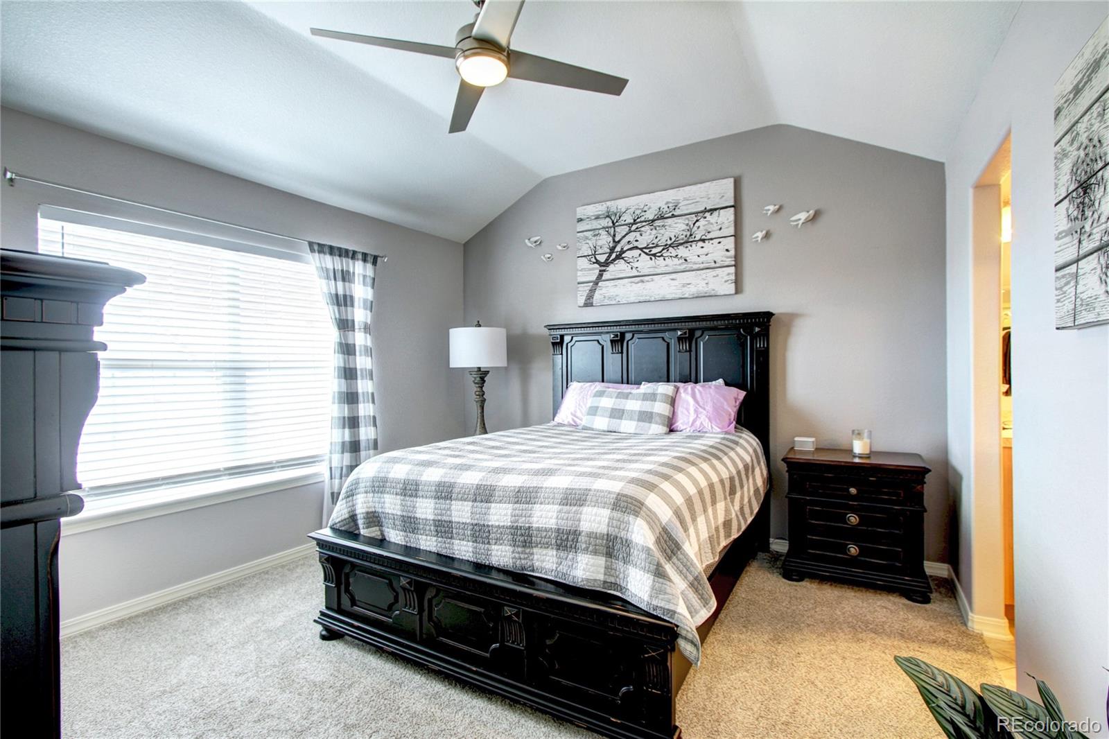 MLS Image #21 for 563  lost valley point,castle rock, Colorado