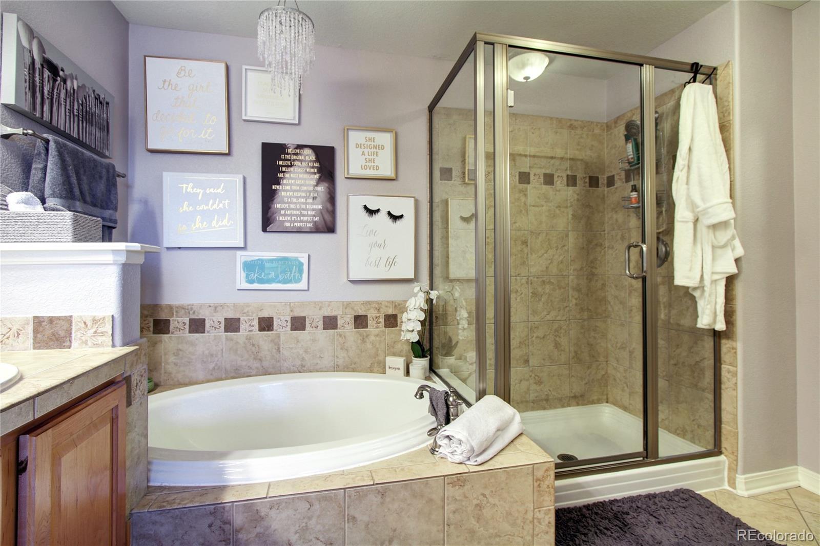 MLS Image #23 for 563  lost valley point,castle rock, Colorado