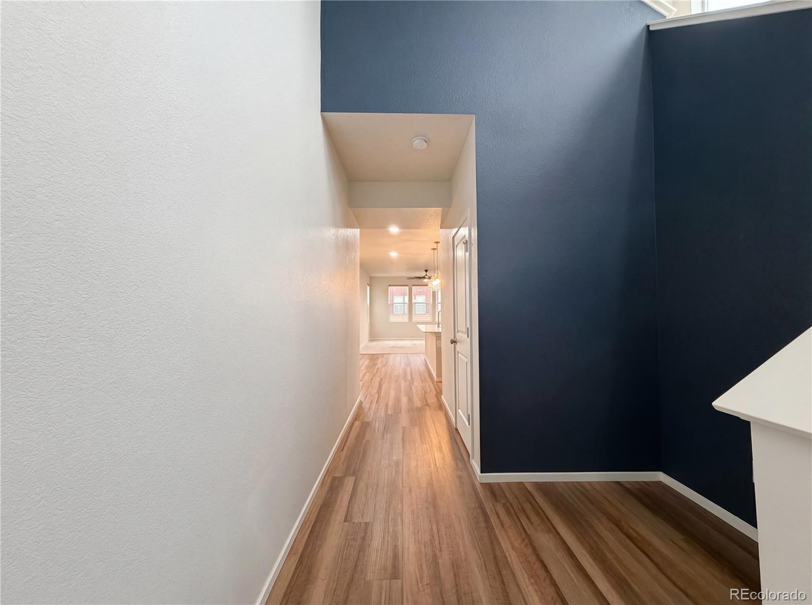 MLS Image #13 for 2962  coleman street,fort collins, Colorado