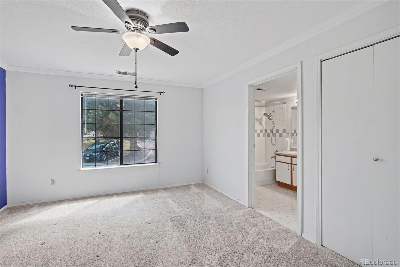 MLS Image #20 for 2160  alicia point,colorado springs, Colorado