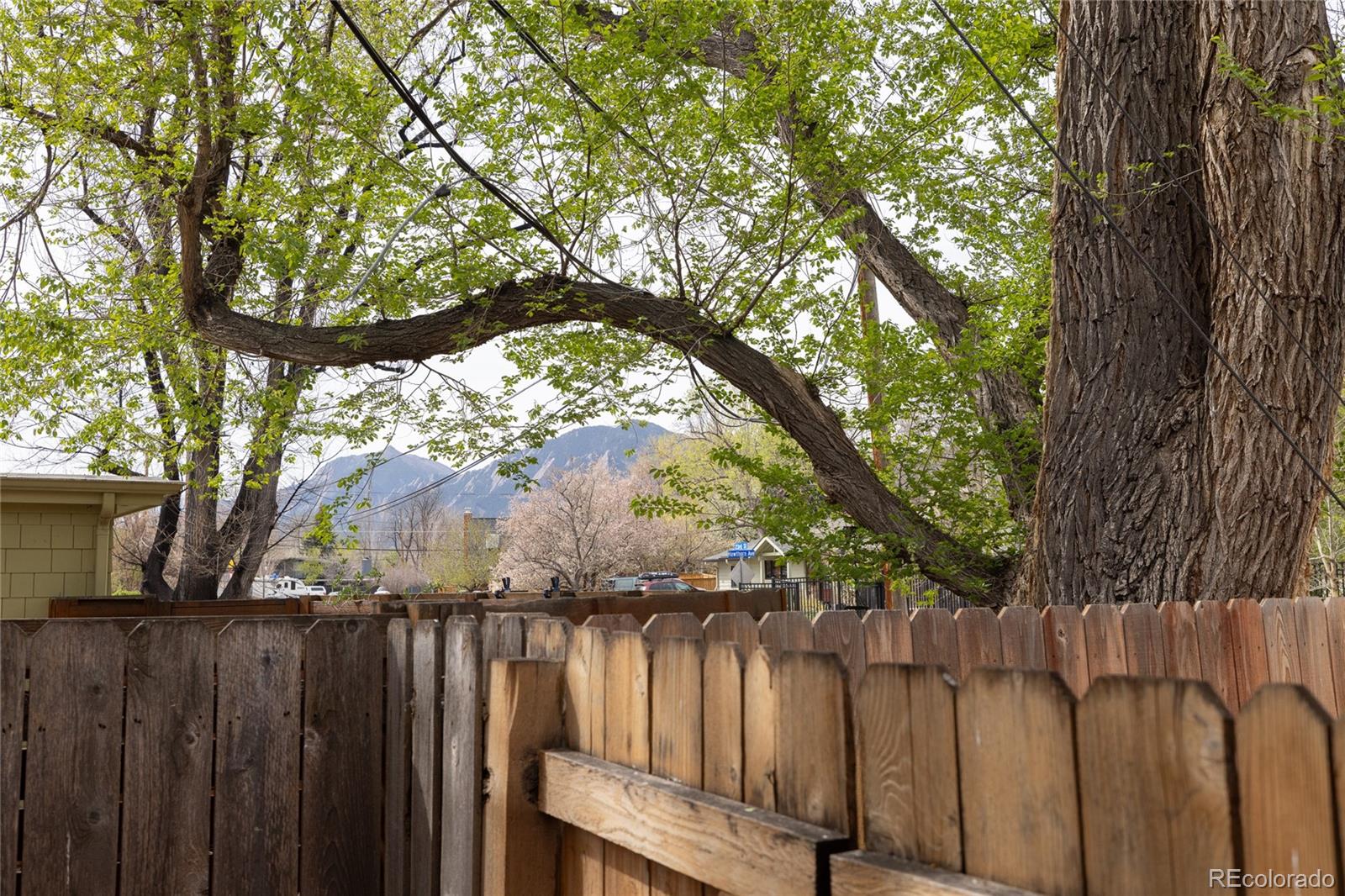 MLS Image #18 for 3320  23rd street,boulder, Colorado