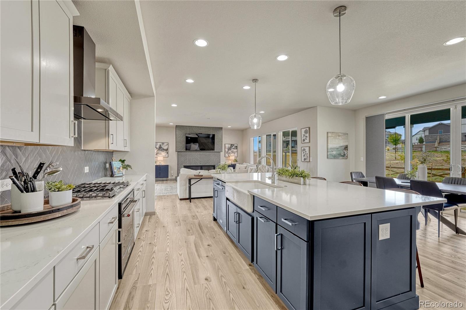 MLS Image #11 for 14419  shasta daisy point,parker, Colorado