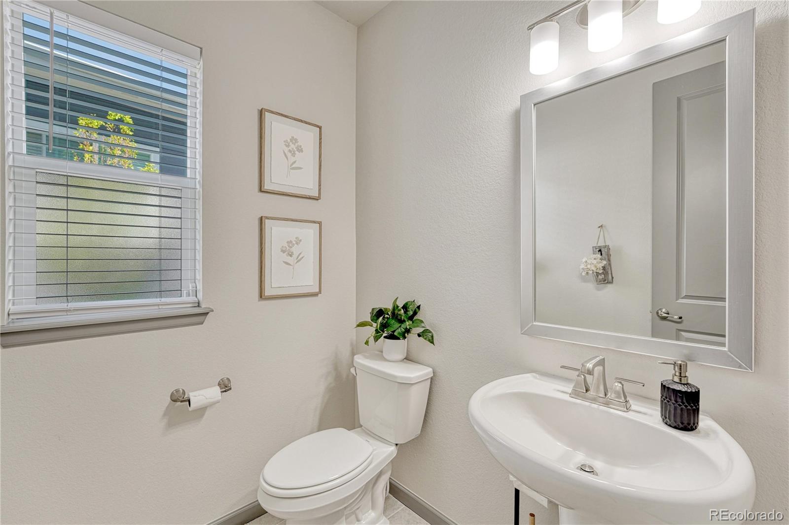 MLS Image #20 for 14419  shasta daisy point,parker, Colorado