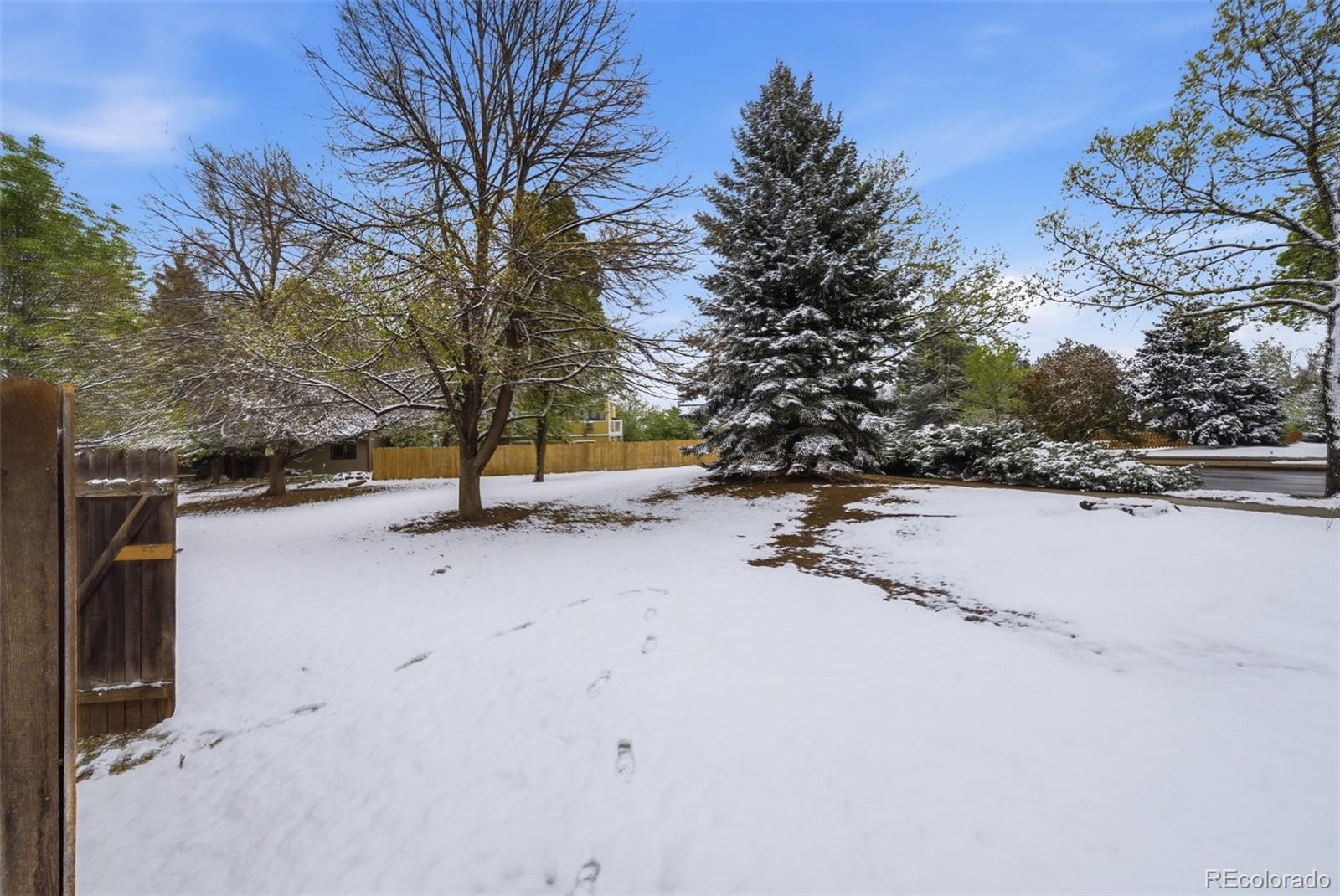 MLS Image #26 for 3440  windmill drive,fort collins, Colorado