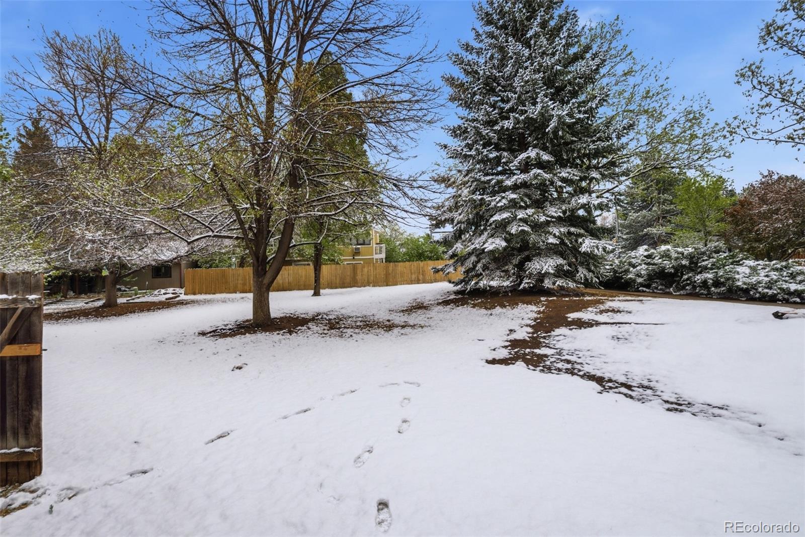 MLS Image #27 for 3440  windmill drive,fort collins, Colorado