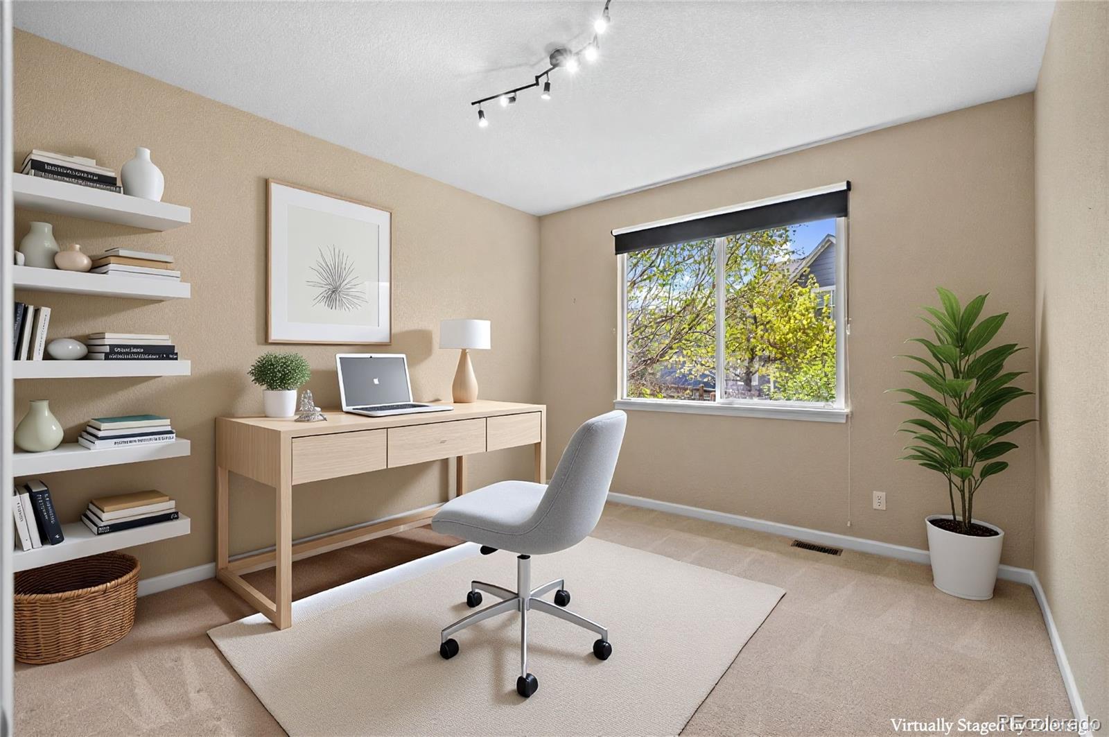 MLS Image #10 for 12009  pine top street,parker, Colorado