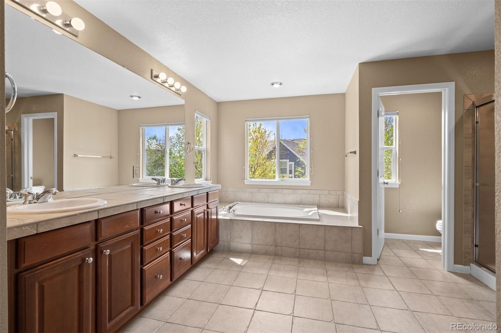MLS Image #18 for 12009  pine top street,parker, Colorado