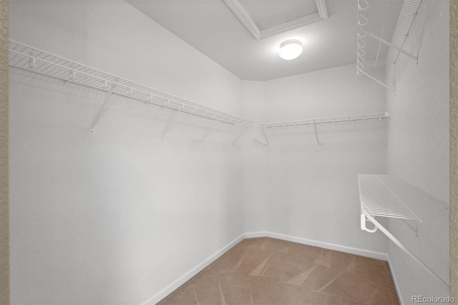 MLS Image #20 for 12009  pine top street,parker, Colorado