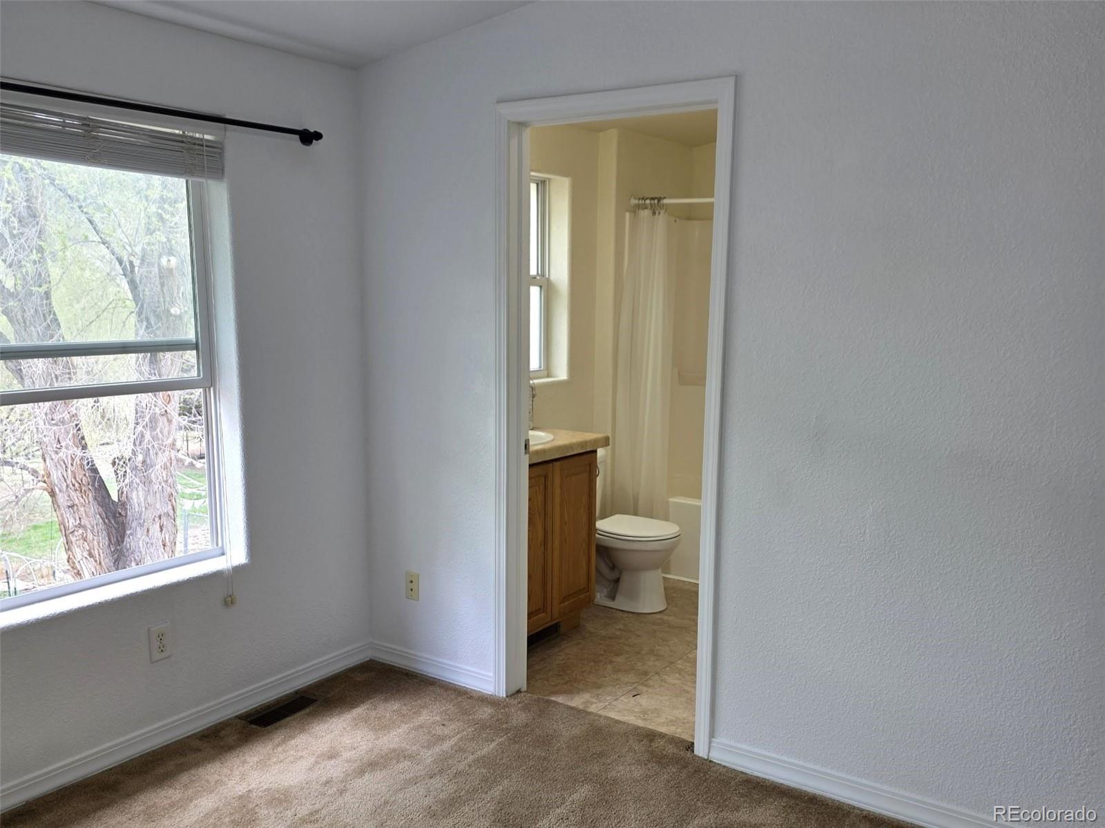 MLS Image #11 for 10216  rodeo park drive,poncha springs, Colorado