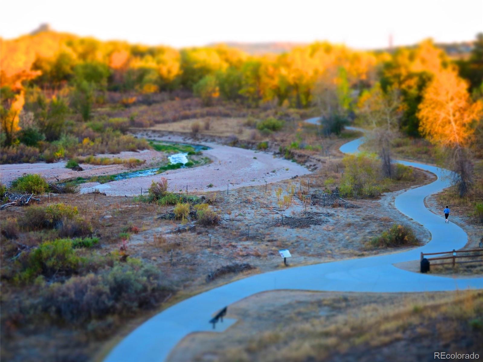 MLS Image #42 for 101  cantril street,castle rock, Colorado
