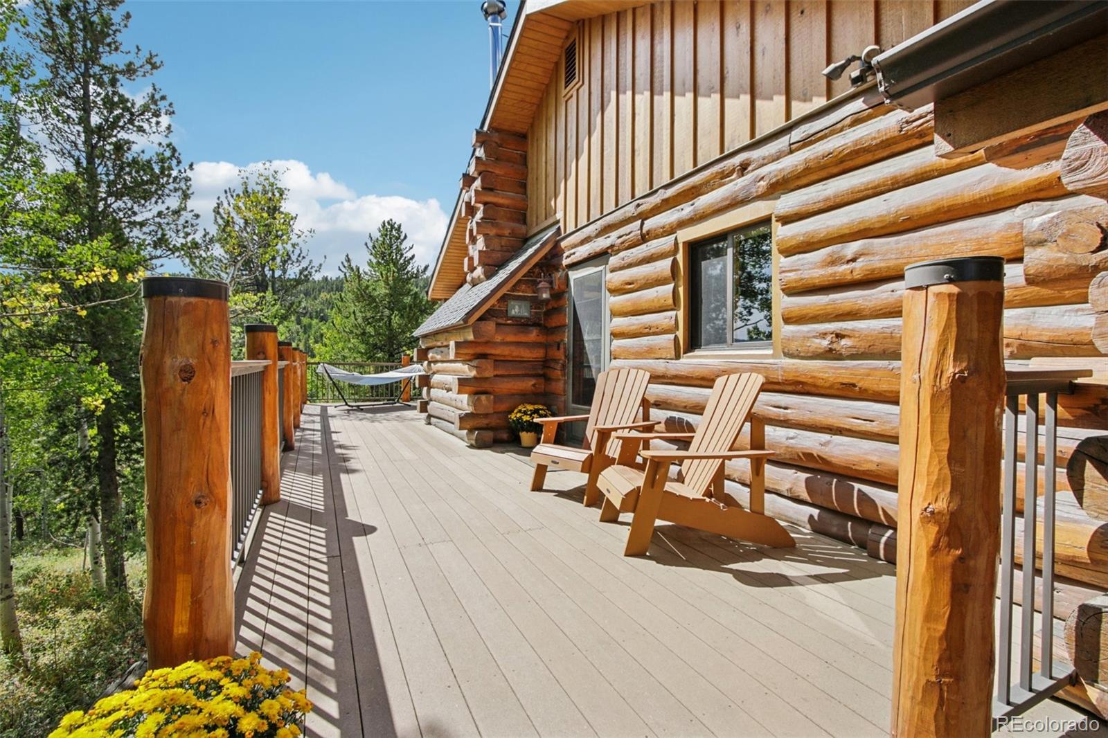 MLS Image #4 for 602 n dory lakes drive,black hawk, Colorado