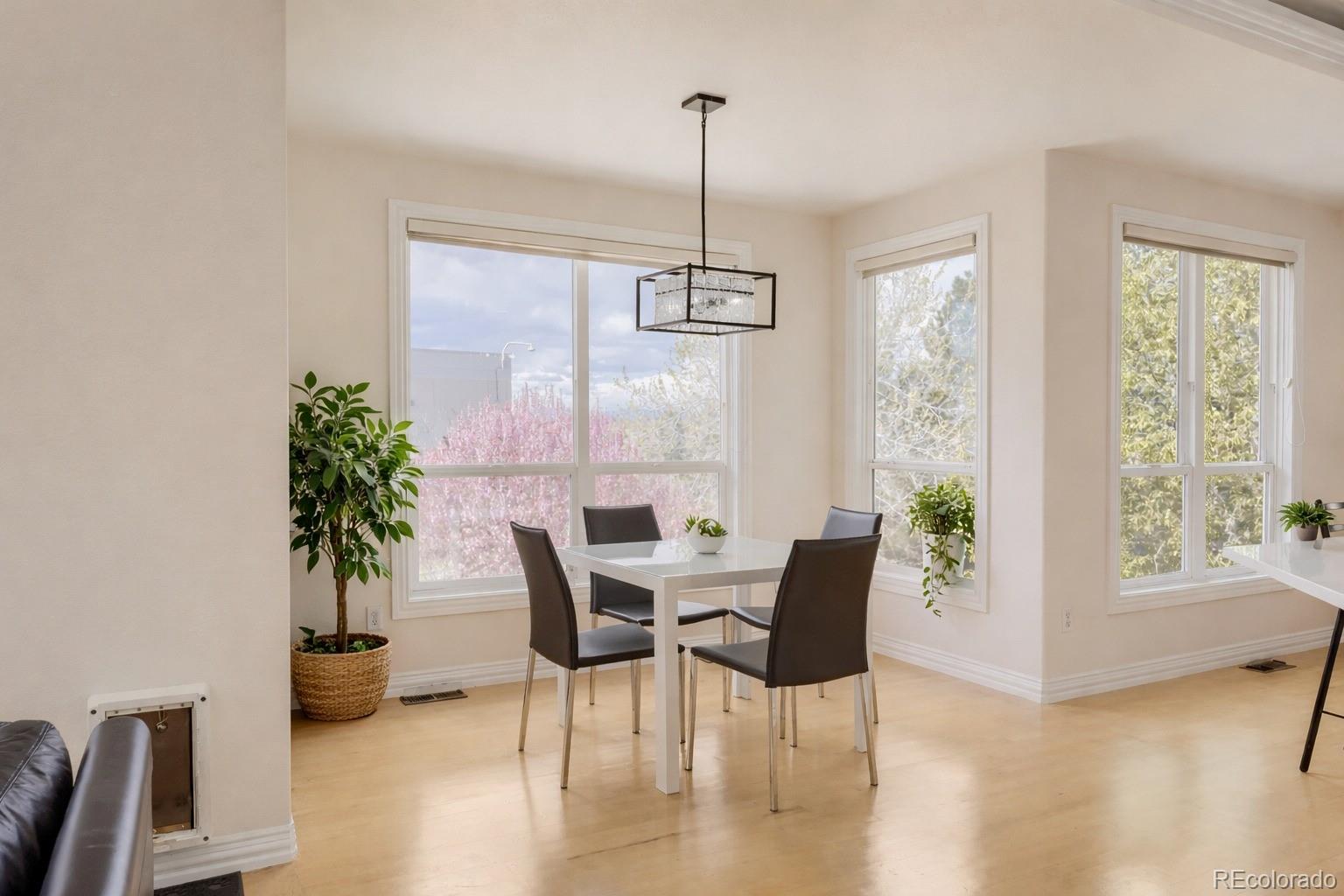 MLS Image #12 for 9041  kittiwake street,littleton, Colorado