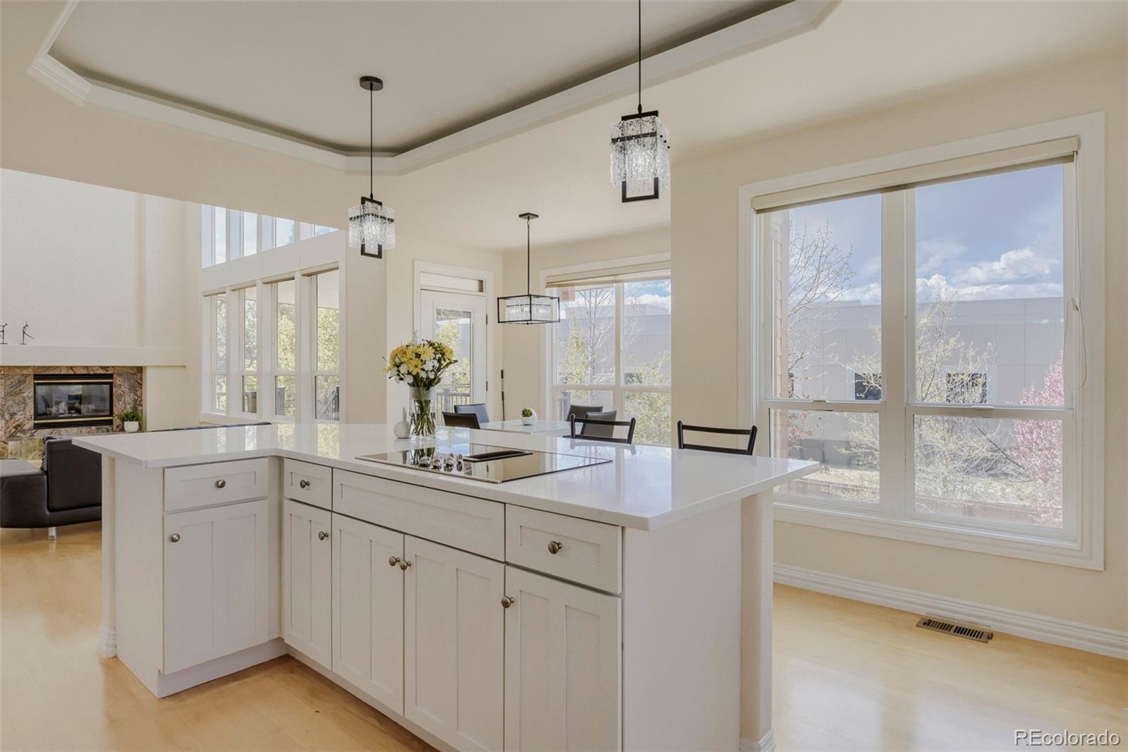 MLS Image #28 for 9041  kittiwake street,littleton, Colorado