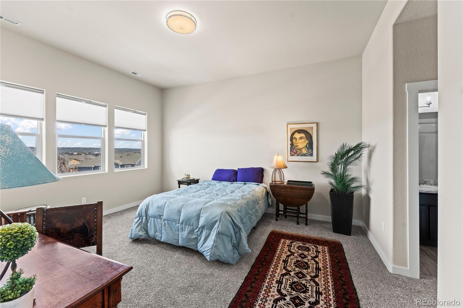 MLS Image #37 for 454  eclipse drive,colorado springs, Colorado