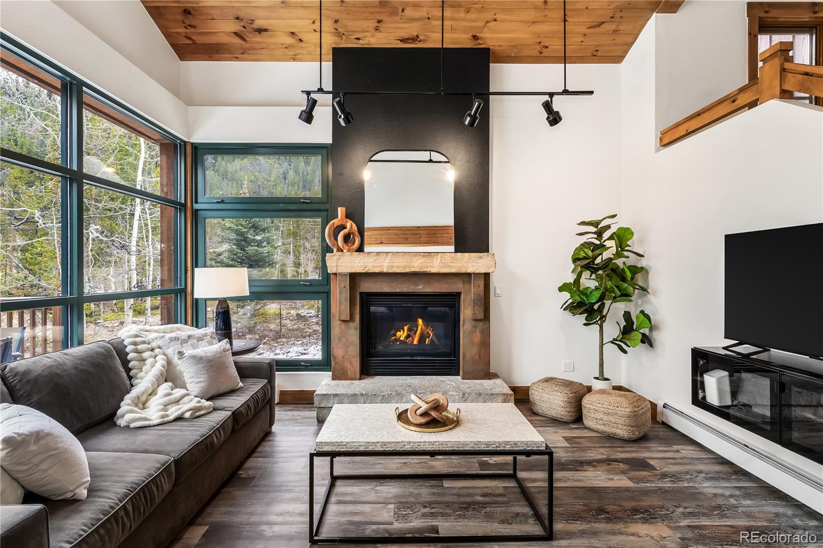 MLS Image #1 for 225  alpen rose place,keystone, Colorado