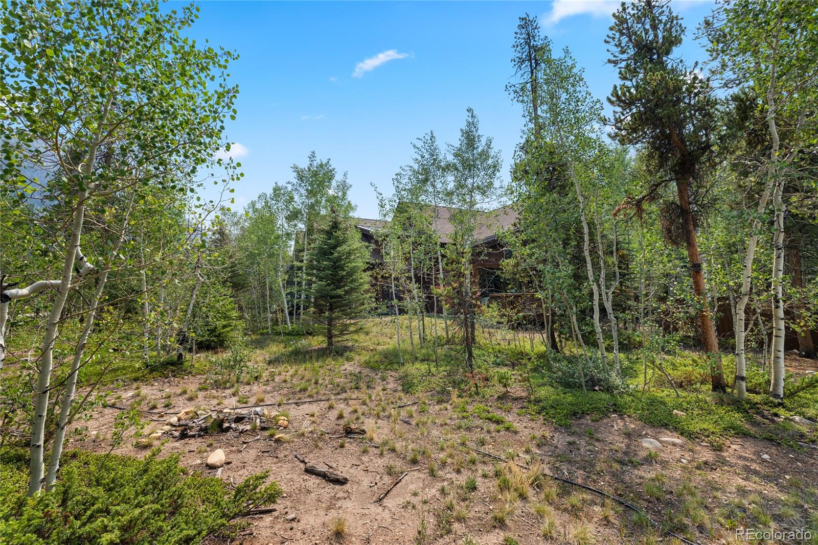 MLS Image #45 for 225  alpen rose place,keystone, Colorado