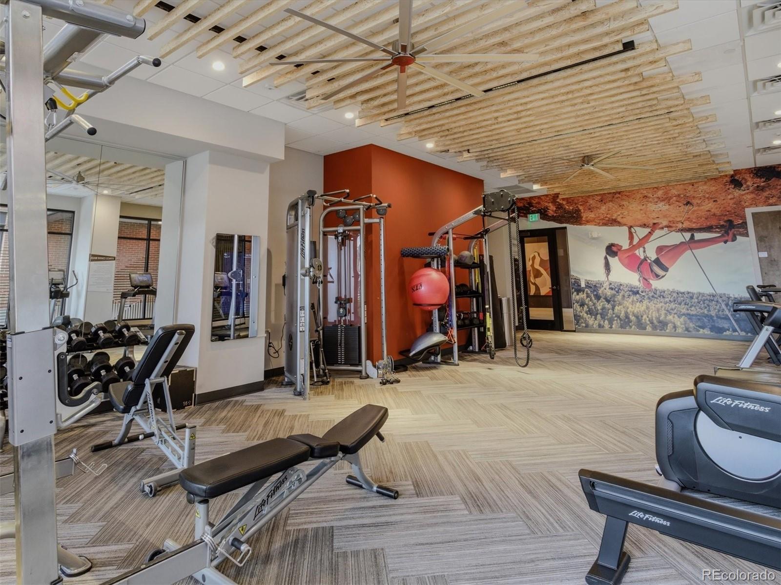 MLS Image #34 for 20  wilcox street 315,castle rock, Colorado