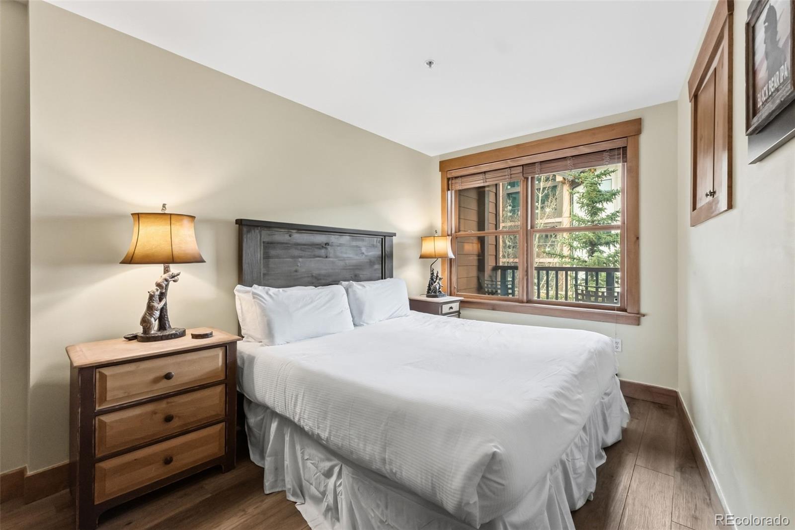 MLS Image #11 for 53  hunki dori court,dillon, Colorado
