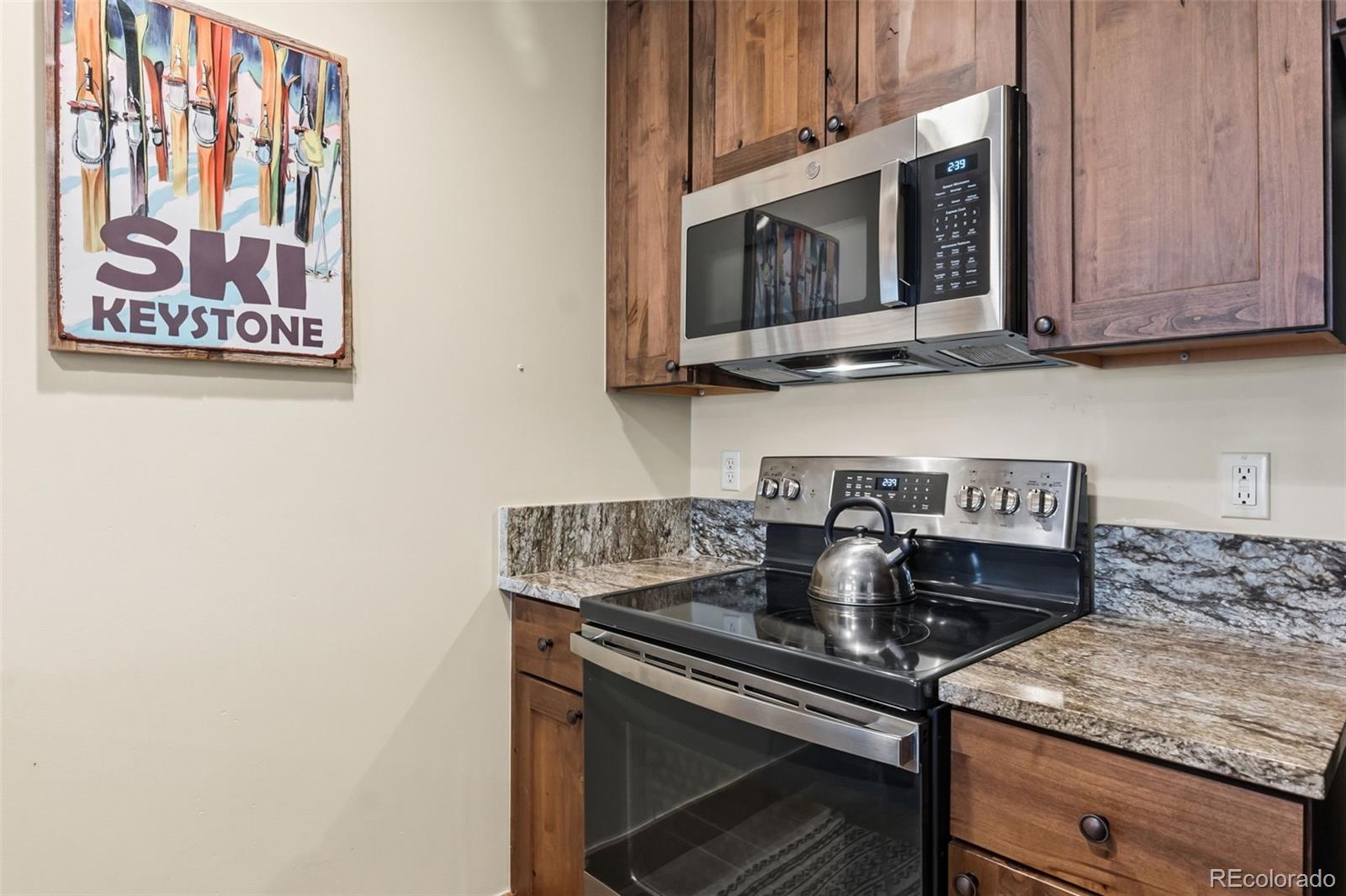 MLS Image #8 for 53  hunki dori court,dillon, Colorado