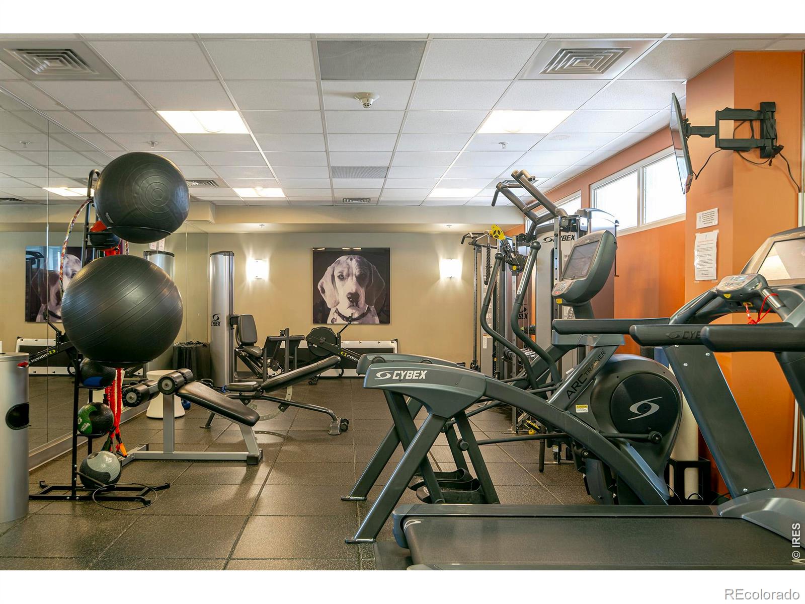 MLS Image #10 for 410  acoma street 321,denver, Colorado