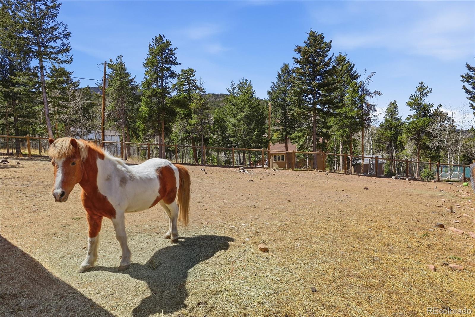 MLS Image #41 for 9225  sandy lane,conifer, Colorado