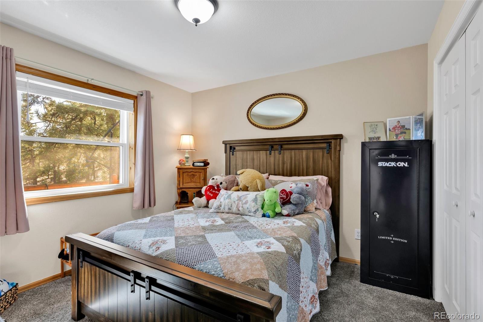 MLS Image #18 for 50  shawnee trail,westcliffe, Colorado