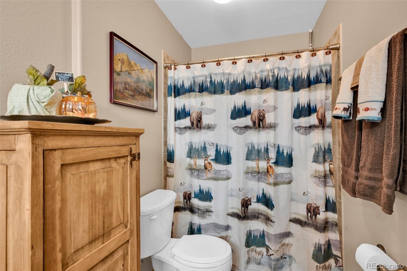 MLS Image #19 for 50  shawnee trail,westcliffe, Colorado
