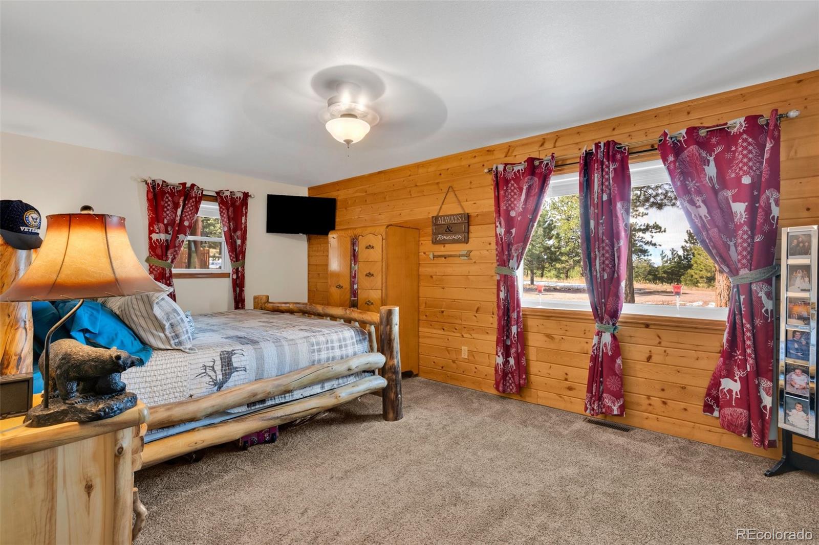 MLS Image #20 for 50  shawnee trail,westcliffe, Colorado
