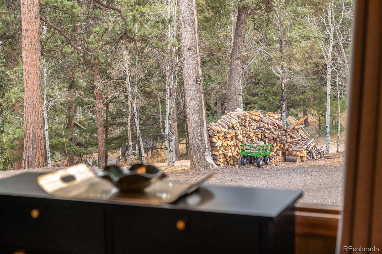MLS Image #16 for 12159  circle drive,conifer, Colorado