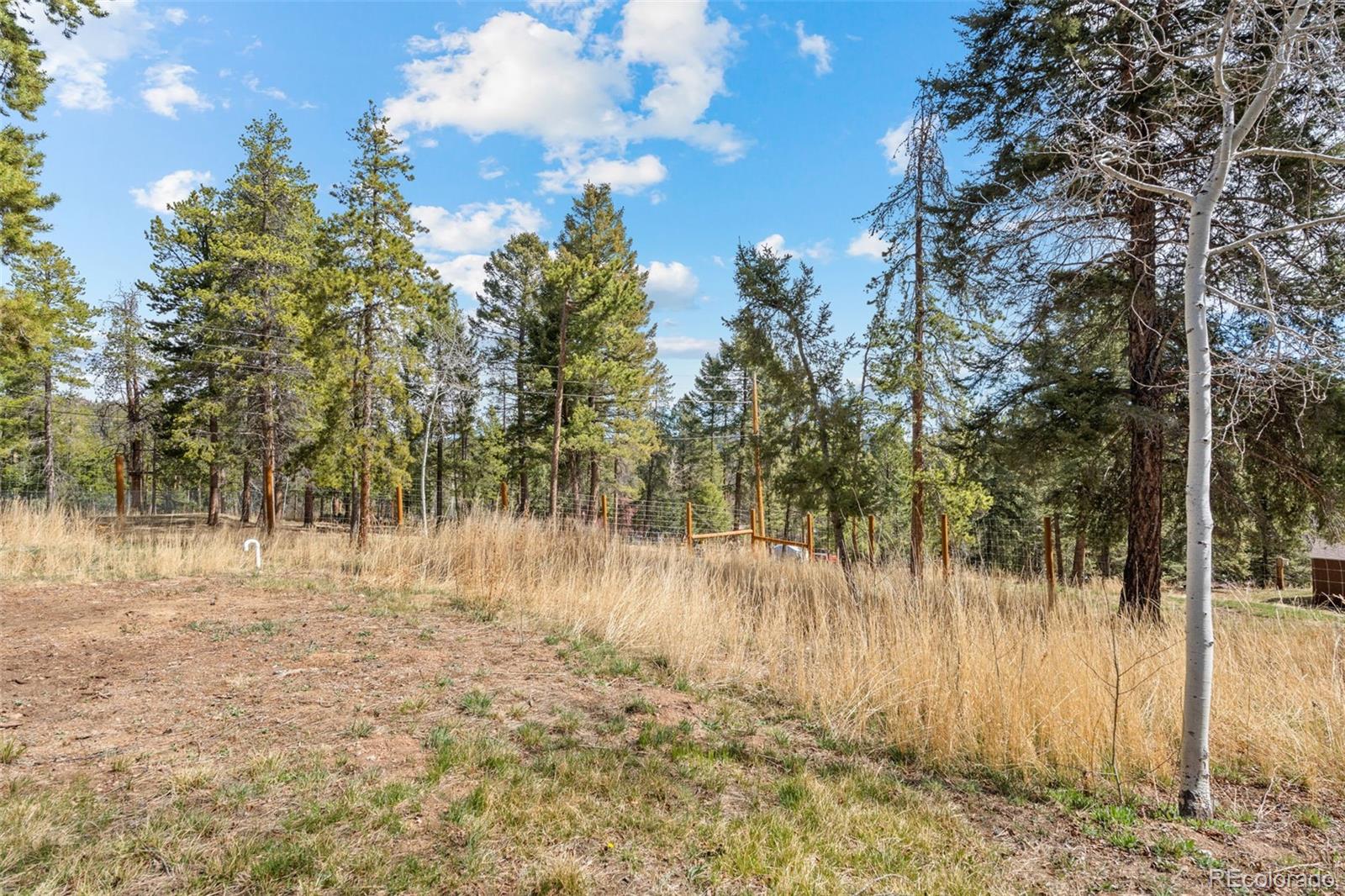 MLS Image #39 for 12159  circle drive,conifer, Colorado