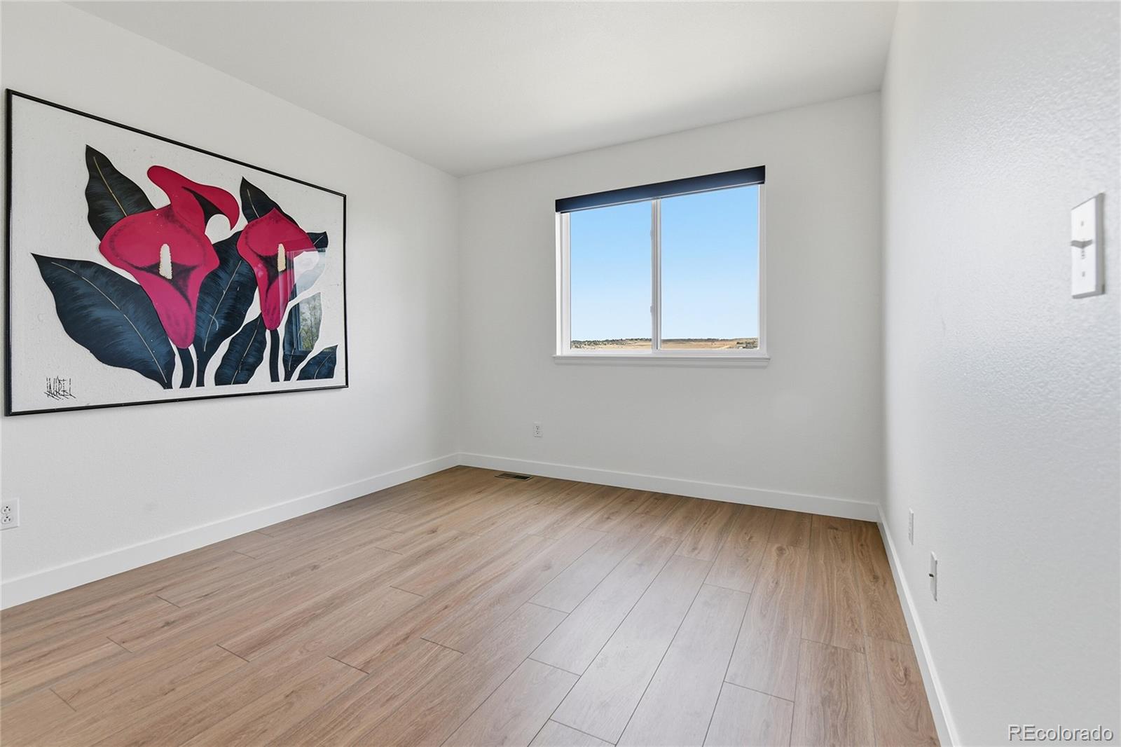 MLS Image #15 for 8428  blackgum street,parker, Colorado