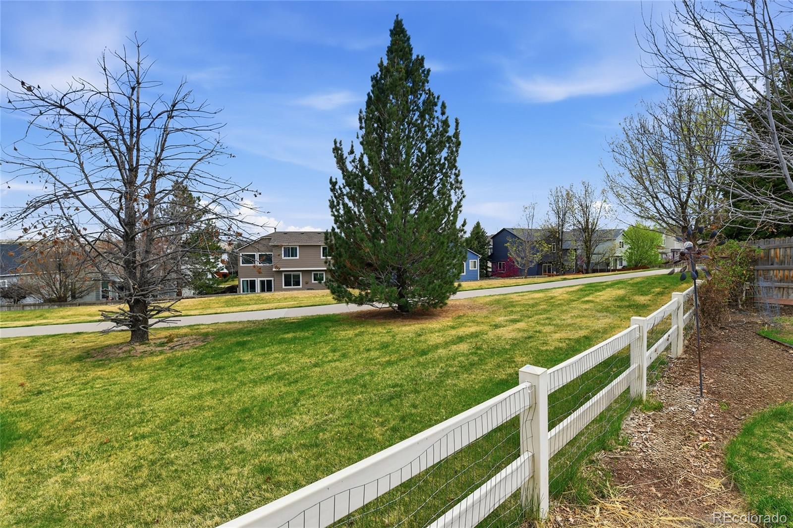 MLS Image #26 for 8428  blackgum street,parker, Colorado